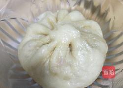 萝卜丝粉丝虾皮包子的做法图解6