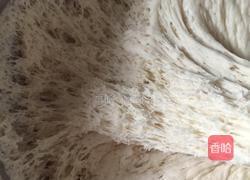 萝卜丝粉丝虾皮包子的做法图解2