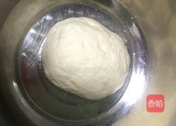 白菜（百财）卷的做法图解2