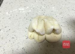 白菜（百财）卷的做法图解11