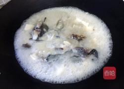 鲤鱼豆腐的做法图解6