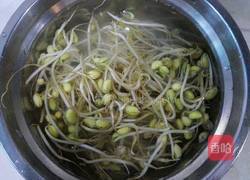 辣炒豆芽的做法图解1