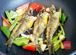 香辣黄骨鱼的做法图解8
