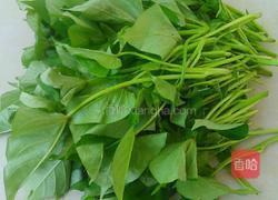 爆炒红薯藤的做法图解1