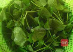 爆炒红薯藤的做法图解2