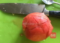 洋白菜炒西红柿的做法图解2