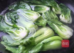 扬州狮子头的做法图解6