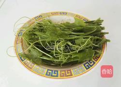 南瓜尖素汤的做法图解1