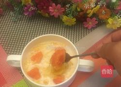 燕窝木瓜炖牛奶的做法图解16