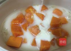 木瓜牛奶炖银耳的做法图解10