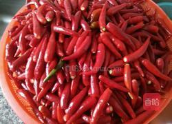 纯手工剁辣酱的做法图解1