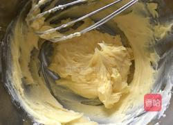 葡萄干巧克力曲奇的做法图解3