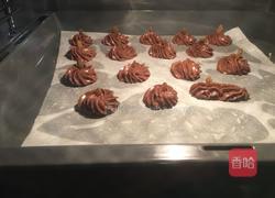 葡萄干巧克力曲奇的做法图解11