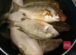 家焖杂瓣鱼的做法图解8