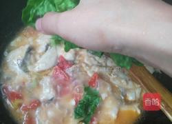 番茄焖鱼的做法图解8