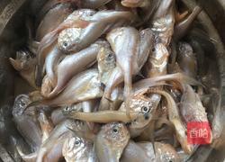 家炖大头宝鱼的做法图解1