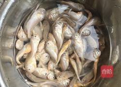 家炖大头宝鱼的做法图解2