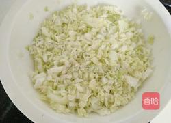 豆腐白菜水饺的做法图解3