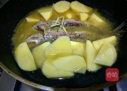 鲅鱼炖土豆的做法图解7