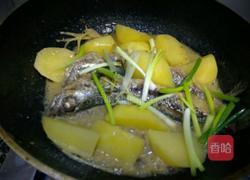 鲅鱼炖土豆的做法图解8