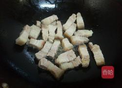 萝卜烧五花肉的做法图解6