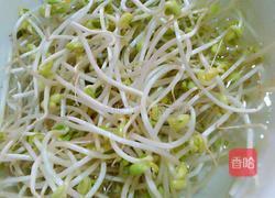 猪肉炒豆芽的做法图解1