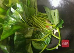 炒红薯叶的做法图解4