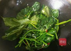 炒红薯叶的做法图解5