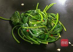 炒红薯叶的做法图解6