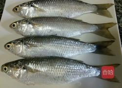 清蒸梭鱼的做法图解1