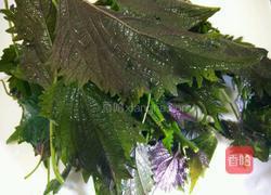 紫苏炖鱼的做法图解2