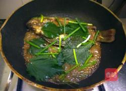 紫苏炖鱼的做法图解8