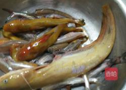 酱焖嘎鱼的做法图解1