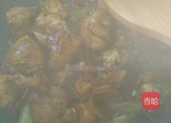 啤酒炖鸡的做法图解6