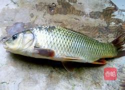 红烧小鲤鱼的做法图解1