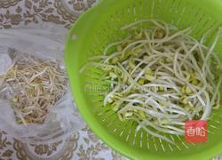 韭菜豆芽的做法图解1