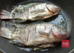 干锅鲫鱼的做法图解3