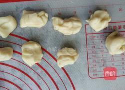 椰蓉开口酥的做法图解10