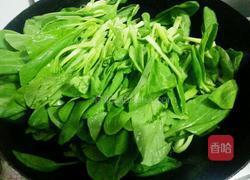 清炒青菜的做法图解3