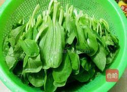 清炒青菜的做法图解2