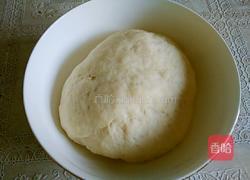 河南水煎包的做法图解1