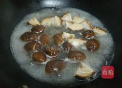 香菇炖鸡的做法图解6