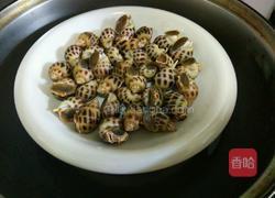 凉拌海螺的做法图解3