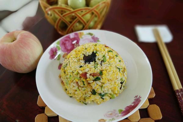 杂食蛋炒饭