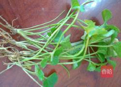 凉茶的做法图解1