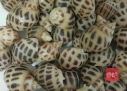 葱油海螺片的做法图解1