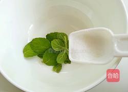 柠檬薄荷苏打水的做法图解2