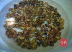 紫苏豉酱炒石螺的做法图解1