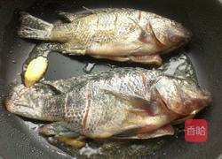 香煎鲫鱼的做法图解2