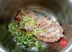 苦瓜饺子的做法图解5